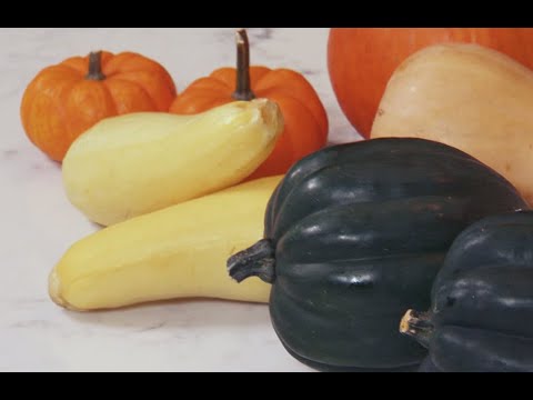 The Nutrition Behind Squash