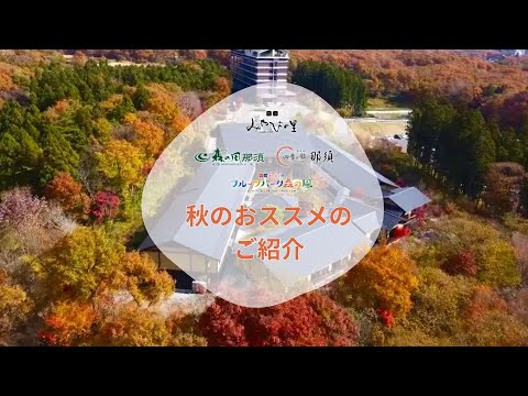 【公式】みやびの里　秋のオススメ！