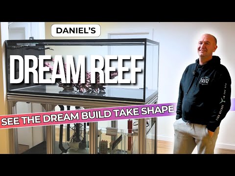 Daniel's Dream Reef Build