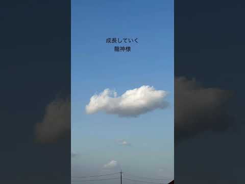 可愛い子流🐲#shortvideo #shorts #short #sky #龍神様 #龍雲