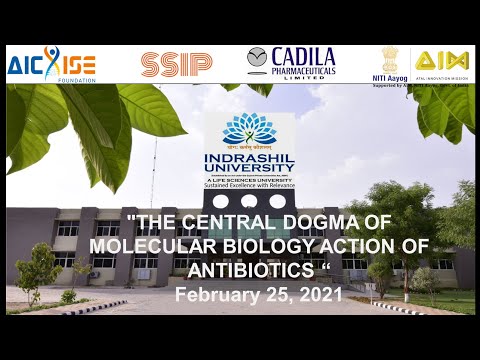 The Central Dogma of Molecular Biology Action of Antibiotics