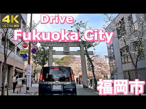 4K drive front car window video - Fukuoka City, Japan (Cherry Blossoms in Bloom)