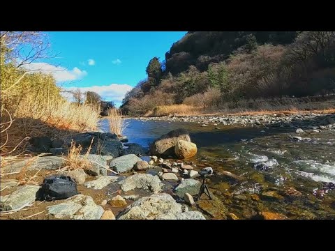 【8h】Relaxing River Sounds on a Sunny Day in Japan’s Lush Nature | Peaceful Ambience for Relaxation