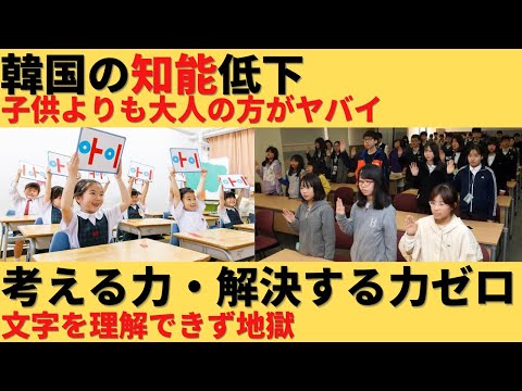 【ゆっくり解説】韓国の知能の低下続く！子供よりも大人の知能限界が大問題ｗ