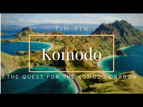 THE ULTIMATE KOMODO NATIONAL PARK TRAVEL VLOG