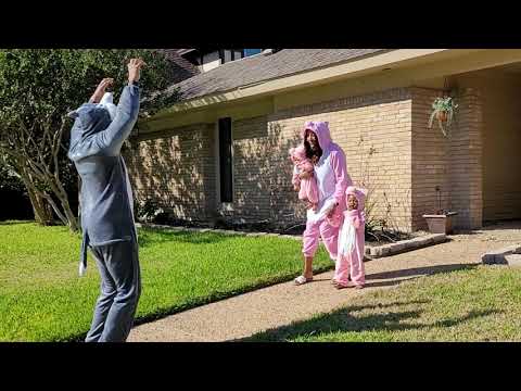 Big Bad Wolf and 3 Little Pigs Halloween Costumes