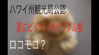 [お試し企画]ロコモコ？　ハワイ州観光局公認のやつを食べてみよう