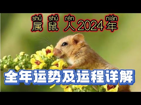 属鼠人2024年全年运势及运程详解