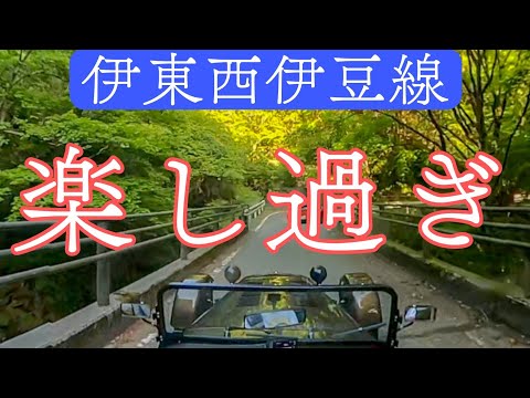 ゴーカート気分　静岡県道59号線はハードモード　もはや林道じゃん