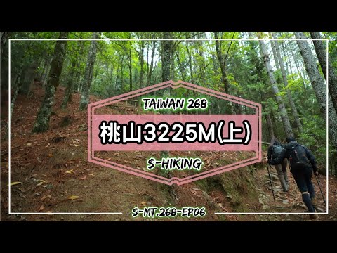 高山268｜台中｜桃山3325M(上集)｜武陵四秀無限風光｜和平區