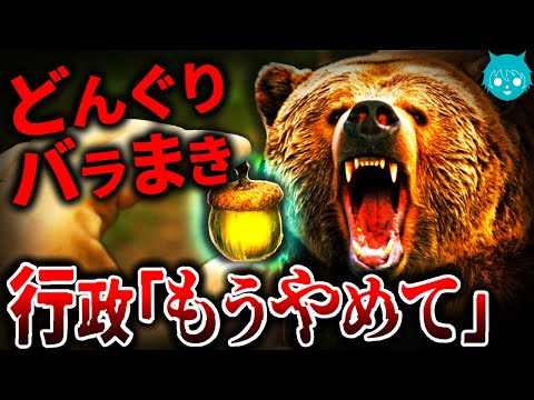 【解説】空腹のクマがいる山にドングリを撒いては絶対ダメな理由【熊襲撃】