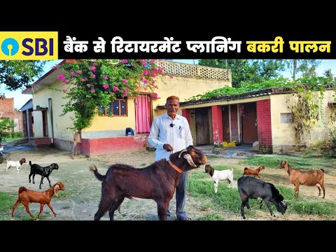 बैंक से रिटायर होने के बाद शुरू किया बकरी पालन | Goat farming in india