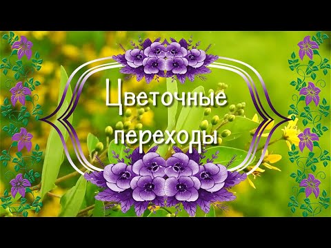 Цветочные футажи и переходы для Proshow Producer