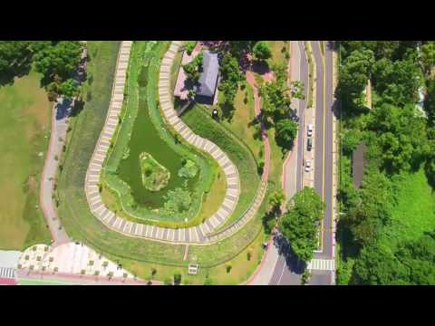 2016年太平坪林森林公園