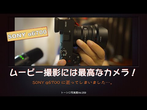 【α7Ⅳを超えた？】ZV-E10からα6700に乗り換えました。（気になる点も…）