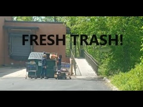 THIS HAS GOT TO BE THE FRESHEST TRASH WE HAVE EVER FOUND!  DUMPSTER DIVING AT ALDI