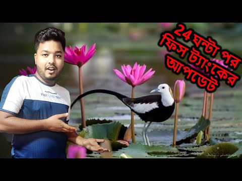 24 ঘন্টা পর একুরিয়াম প্লান্ট গুলোর কি অবস্থা | Update | Mahid Dream Zoo