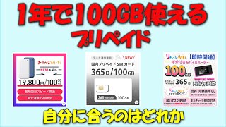 【格安SIMとは違う】1年100GB使えるプリペイドを比較