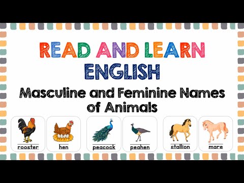 Masculine and Feminine Names of Animals | Reading for Grade 1, 2, and 3 | English Words for Kids