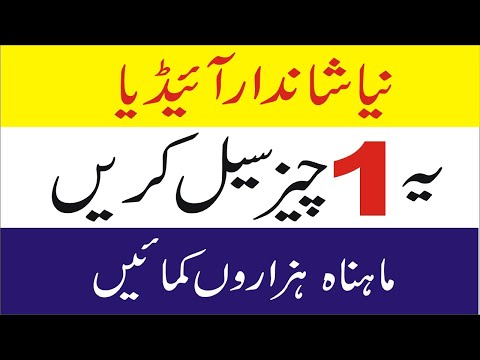 How to start Small Business Ideas in Pakistan with low investment in urdu-Hindi |Smart Business Plan