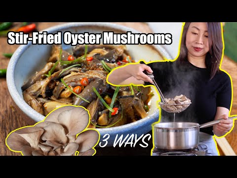 Stir-Fried and MORE: Oyster Mushroom Recipes You'll Want To Make on REPEAT