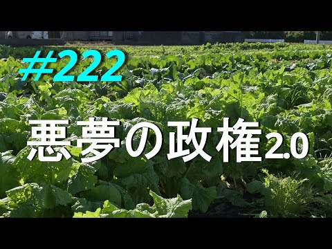 【日本の危機】もはや内戦中ですね　2024/11/29