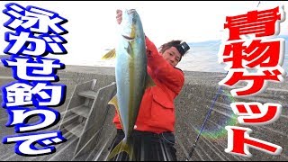 堤防から泳がせ釣りで10㎏のヒラマサを狙う！