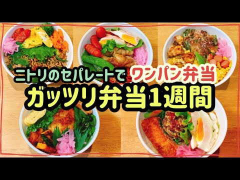 【ガッツリ弁当1週間】5日間！！ワンパンのっけ弁当！！