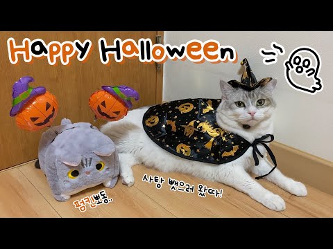 🎃Happy Halloween👻 할로윈 코스튬 입히기🖤