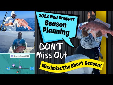 Race Against the Clock: Planning the Ultimate Fishing Trip for Short 2023 Red Snapper Season!