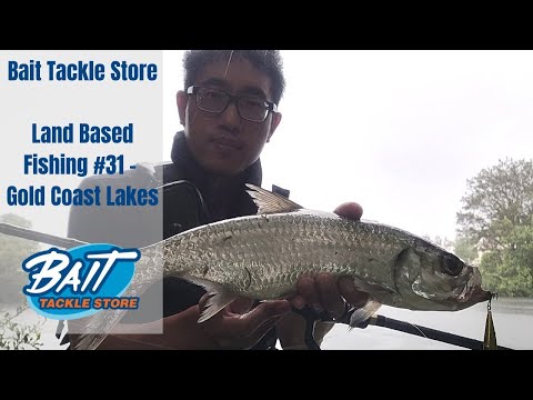 Bait Tackle Store: Land Based Fishing #31 - Gold Coast Lakes