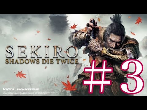 #3 SEKIRO