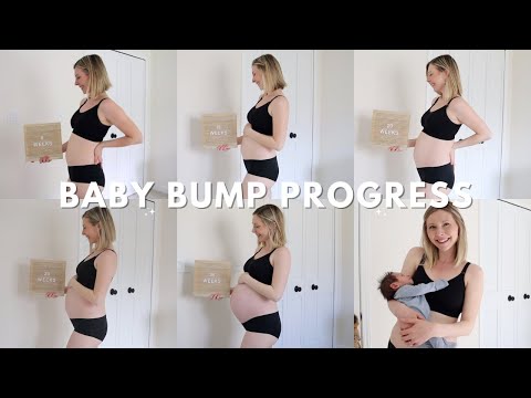 ✨Pregnant Belly Transformation (Week by Week)👶