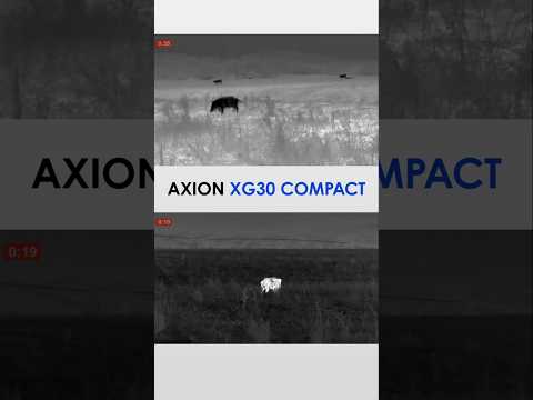 Wild boars captured with Axion XG30 Compact a pocket-sized thermal imaging monocular.  #pulsarvision