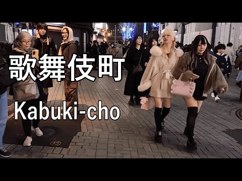 【Night walking】日本一の繁華街、歌舞伎町を散歩 Walking in KABUKI-CHO of Tokyo, busiest shopping district