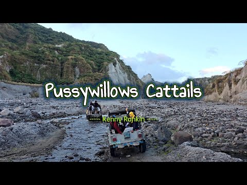 PUSSYWILLOWS CATTAILS - (Karaoke Version) - in the style of Kenny Rankin