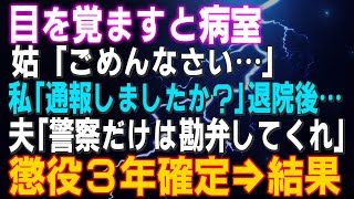 【スカッとする話】目を覚ますと病室 姑「ごめんなさい…」私「通報しましたか？」退院後…夫「警察だけは勘弁してくれ」懲役３年が確定し刑務所へ…結果