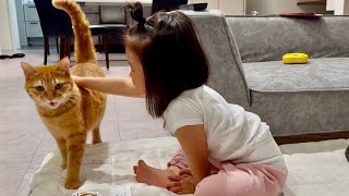 次々と保護猫を手なづける愛猫家の5歳娘がママに教えてくれたこととは...