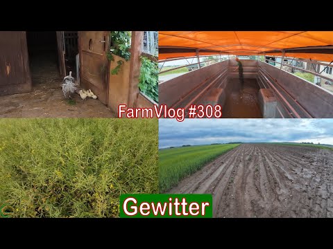 Farmvlog #308: Gewitter und Rohr verstopft