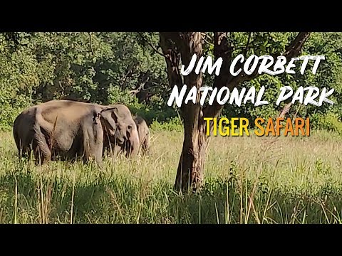 Jim Corbett National Park Tiger Safari | How to Book a Jeep | Best time to visit |