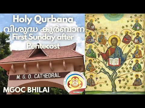 MGOC Bhilai | Morning Prayer & Holy Qurbana| 04th Jun 2023-First Sunday after the Feast of Pentecost