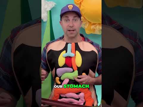 How Our Bodies Digest Food Explained #toddlerlearning #toddlers #learningvideosforkids