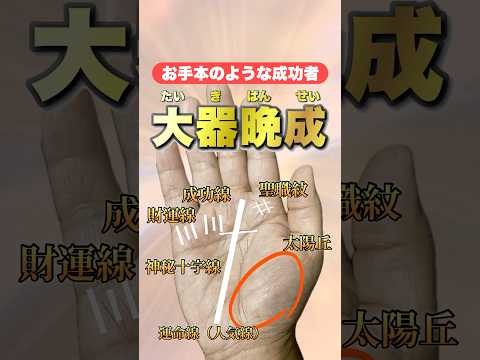 【大器晩成】成功者のお手本の手相 #手相  #手相占い  #開運  #スピリチュアル  #占い  #金運  #雑学  #運勢 #運気