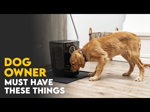 TOP 5 Gadgets for your DOG - Toys, Accesories & Must Haves