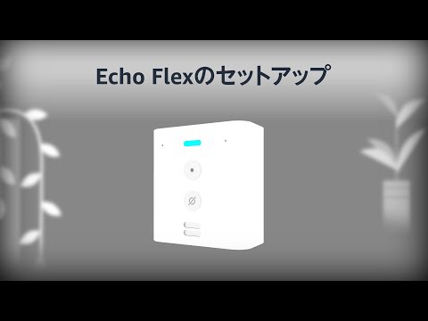 Echo Flexをセットアップする