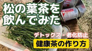 松の葉茶（ハーブティ）を作って飲んでみた　松葉茶　健康茶の作り方　デトックス作用　血液浄化　老化防止　ブッシュクラフト