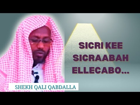 "Sicri Kee sicraabah ellecabo...." Shekh Qali Qabdalla #afardawa #qafardaqwa #afarkassismedia