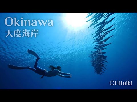 シュノーケリング＠沖縄大度：Free Diving in Japan's Snorkeling Spot Okinawa Odo Beach | Crevasse, Turtle, Barracuda