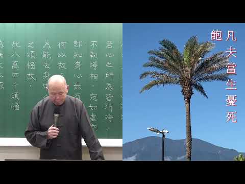 達摩悟性論  文保老師主講  2024民113年 11月23日