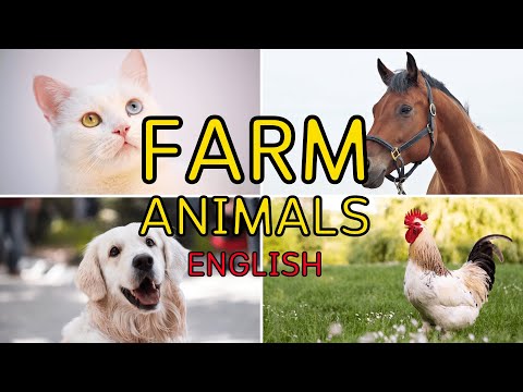 Farm Animals In English ||| Learn all the Farm Animals Names and Sounds In English